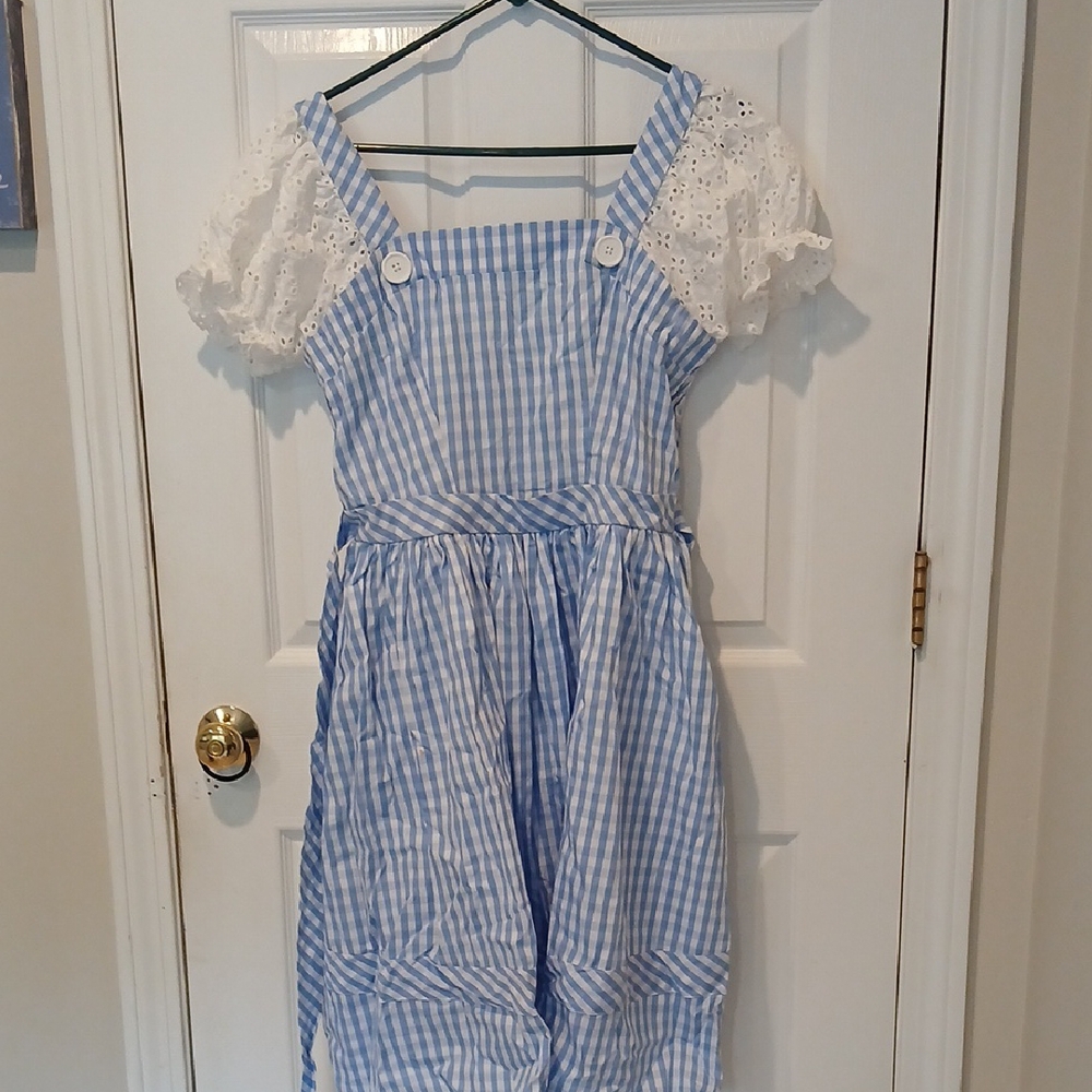 Blue and White Gingham Dress with Eyelet Sleeves